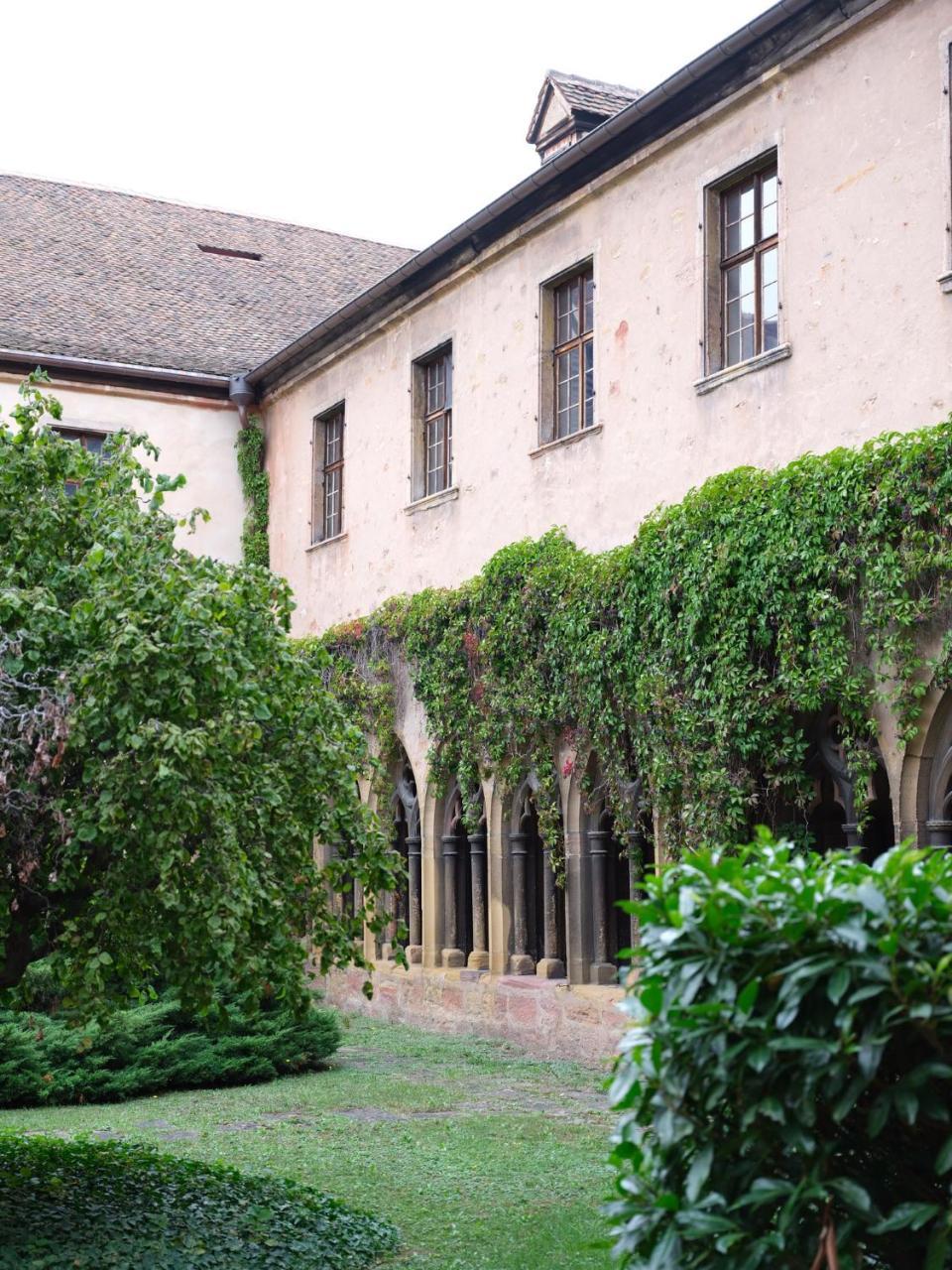 Les Suites Du Cygne Colmar Exterior photo